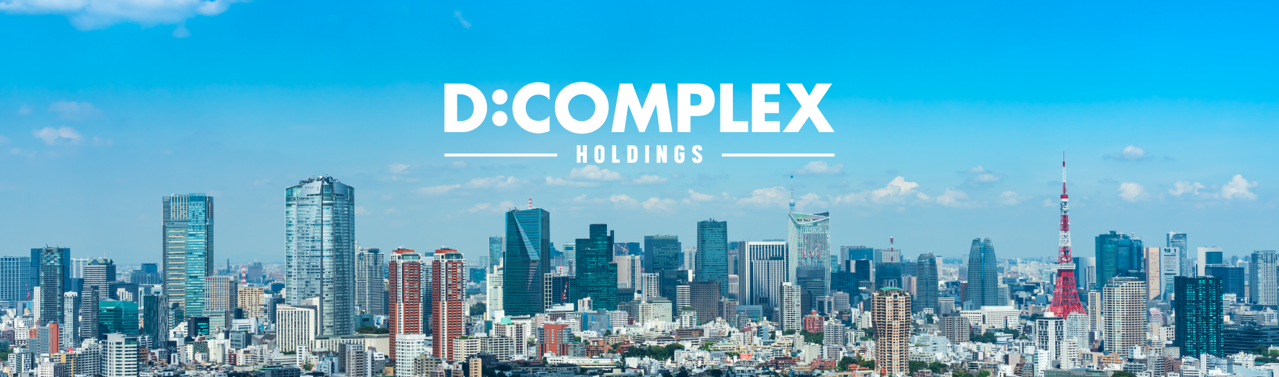 D:COMPLEX HOLDINGS